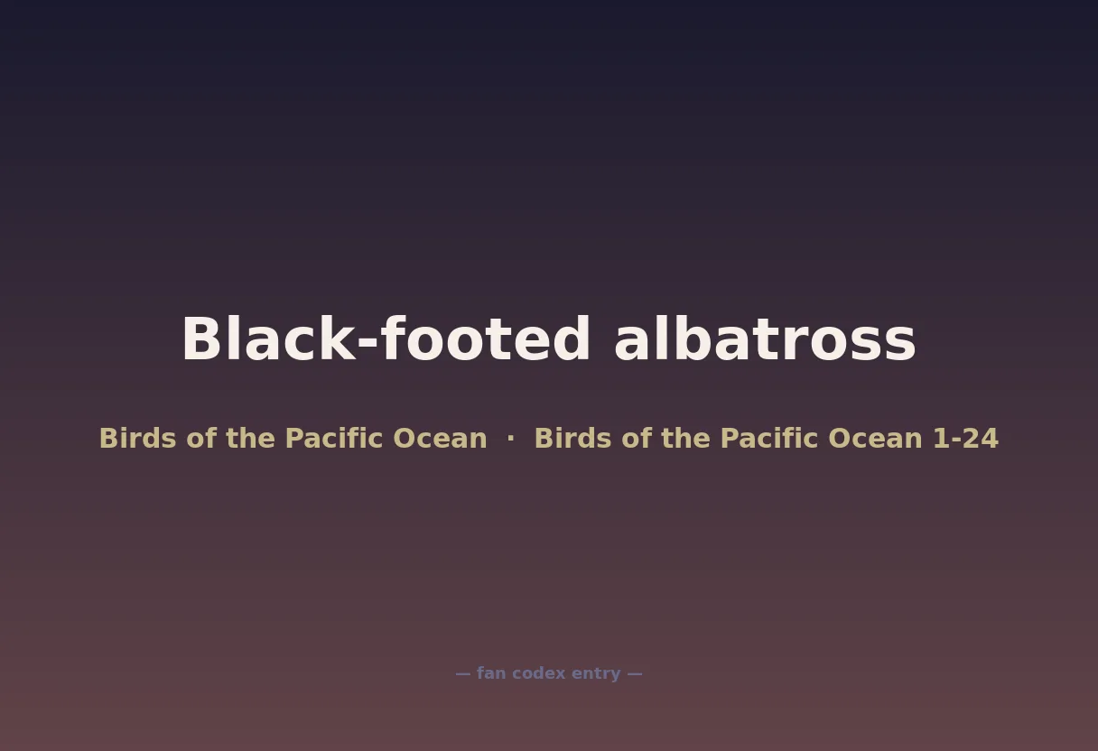 Black-footed albatross