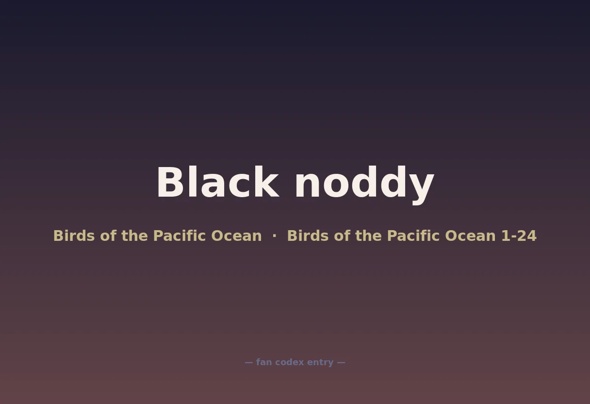 Black noddy