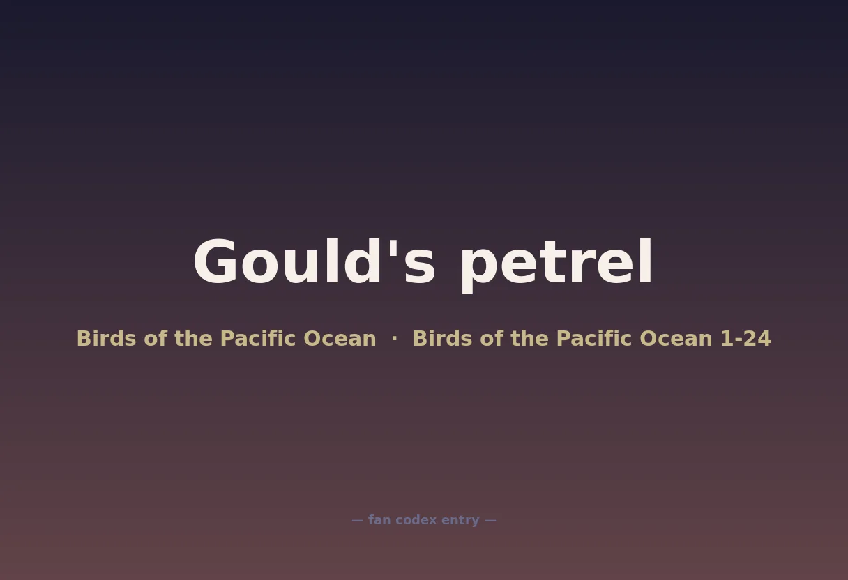 Gould's petrel